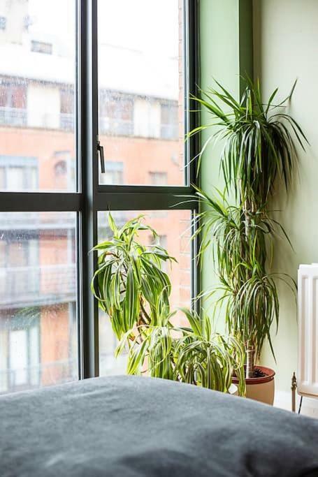 Spacious Belfast City Centre Duplex Apartment المظهر الخارجي الصورة